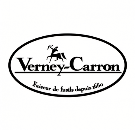 logo verney carron3